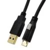 Locking USB Locking USB-C to USB-A Cable